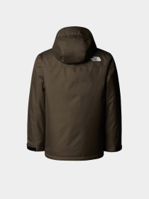 Горнолыжная куртка The North Face модель NF0A8EJQ21L1 Фото
