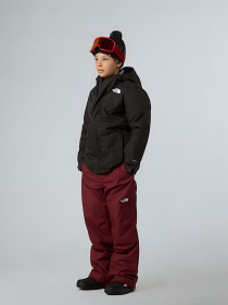 Горнолыжная куртка The North Face модель NF0A8EJQJK31 Фото