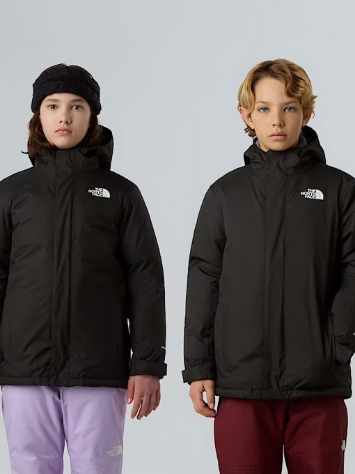 Аутдор и горнолыжнаякуртка The North Face модель NF0A8EJQJK31 Фото