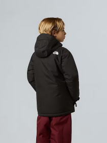 Аутдор та гірськолижна куртка The North Face модель NF0A8EJQJK31 Аутдор та гірськолижна куртка The North Face модель NF0A8EJQJK31 Фото