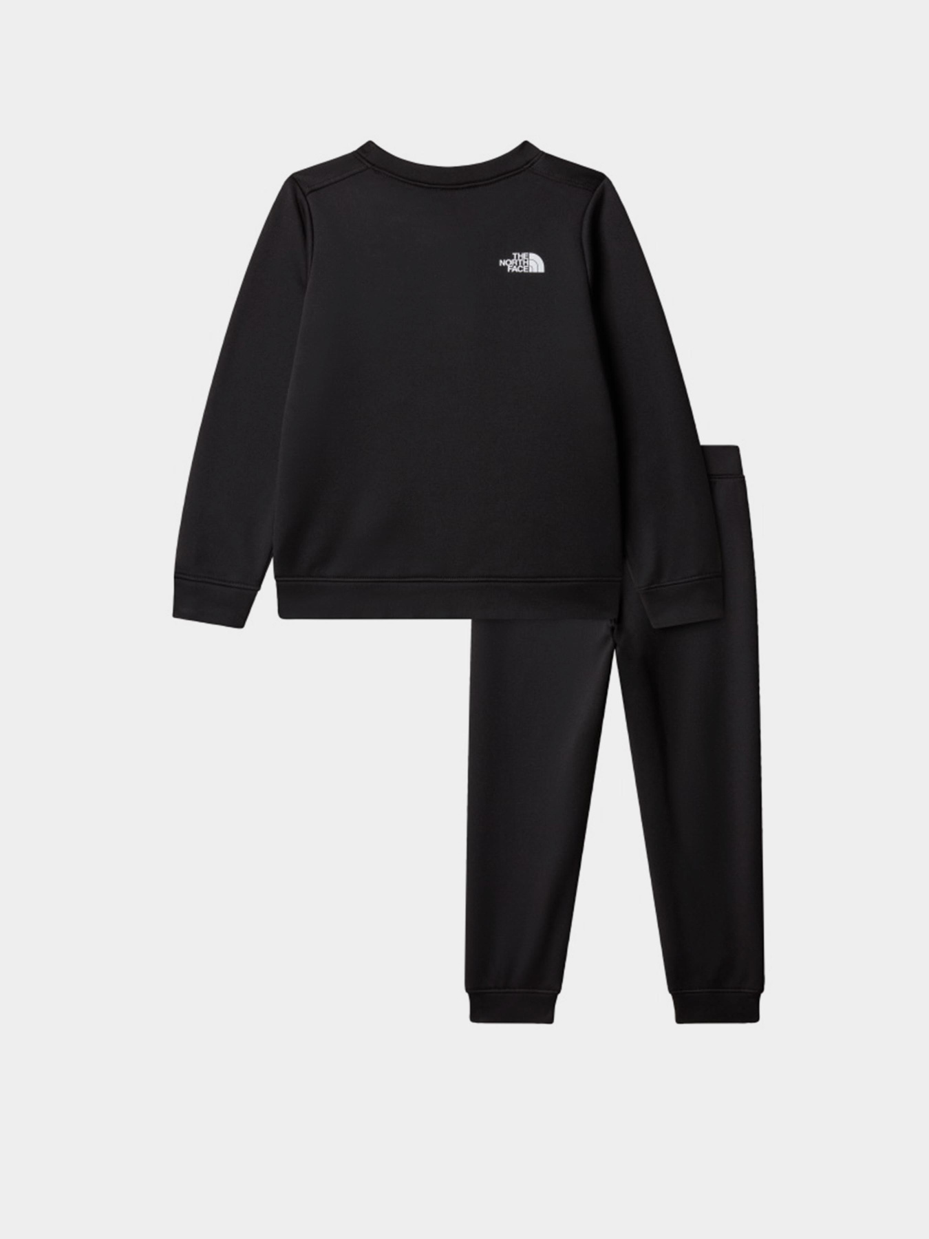 Повседневный костюм The North Face Performance модель NF0A8CV0JK31 Фото