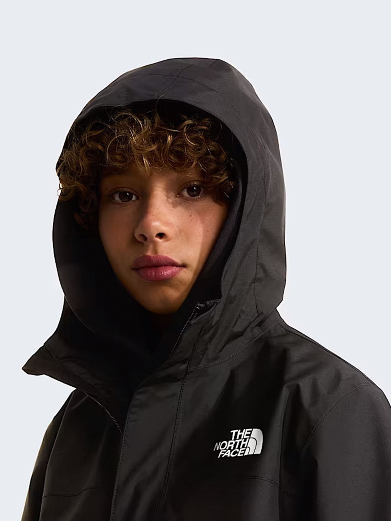 The North Face модель NF0A8A48KX71 Фото