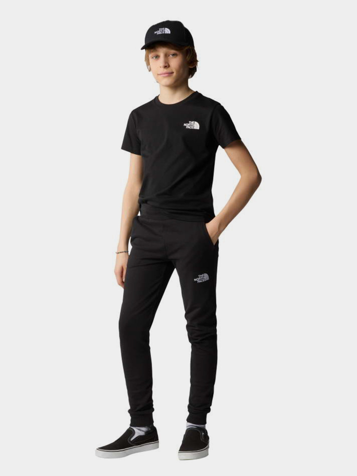 The North Face модель NF0A87T4JK31 Фото