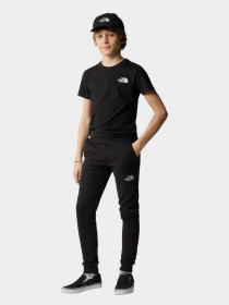 The North Face модель NF0A87T4JK31 Фото