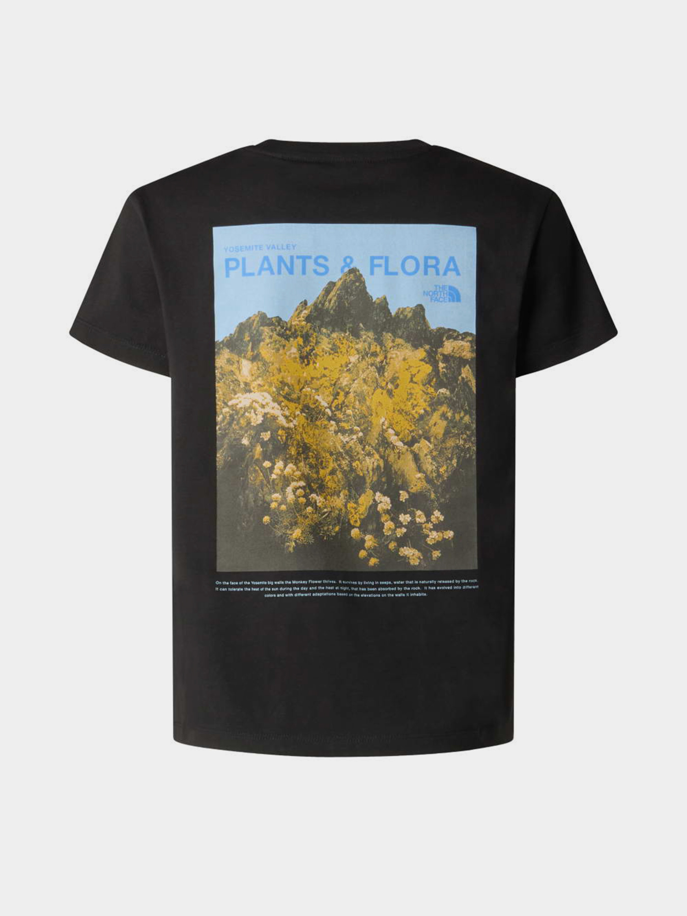 The North Face модель NF0A8G1MJK31 Фото