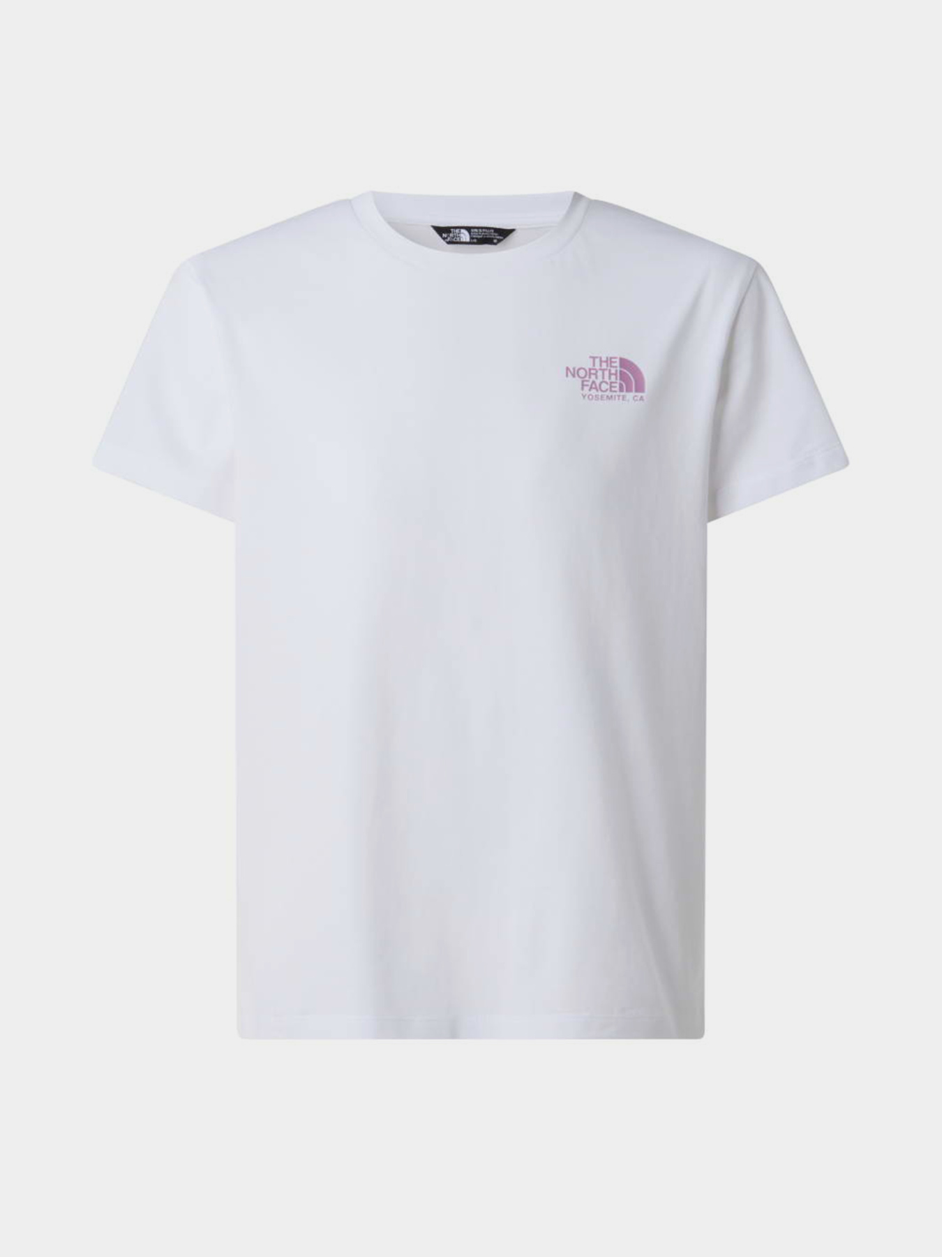 The North Face модель NF0A8G1MFN41 Фото