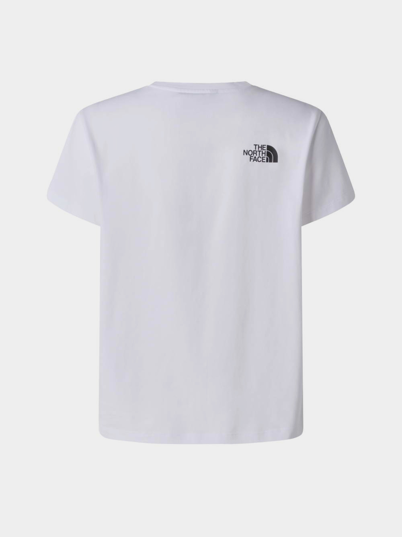 The North Face модель NF0A8G1UFN41 Фото