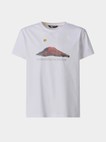 The North Face модель NF0A8G1UFN41 Фото