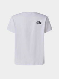 The North Face модель NF0A8G1UFN41 Фото