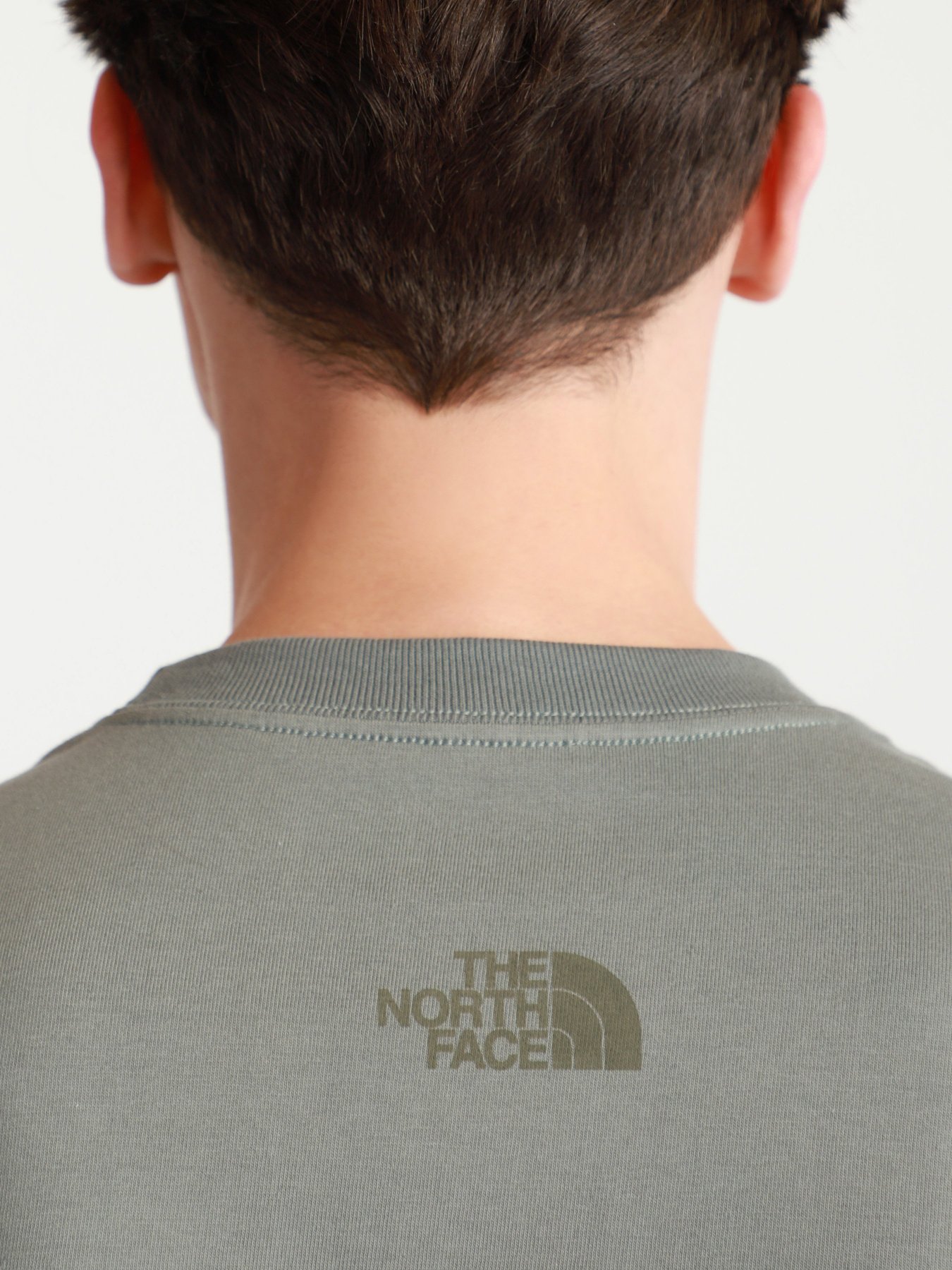 Футболка The North Face Steep Tech модель NF0A52ZFV381 Фото