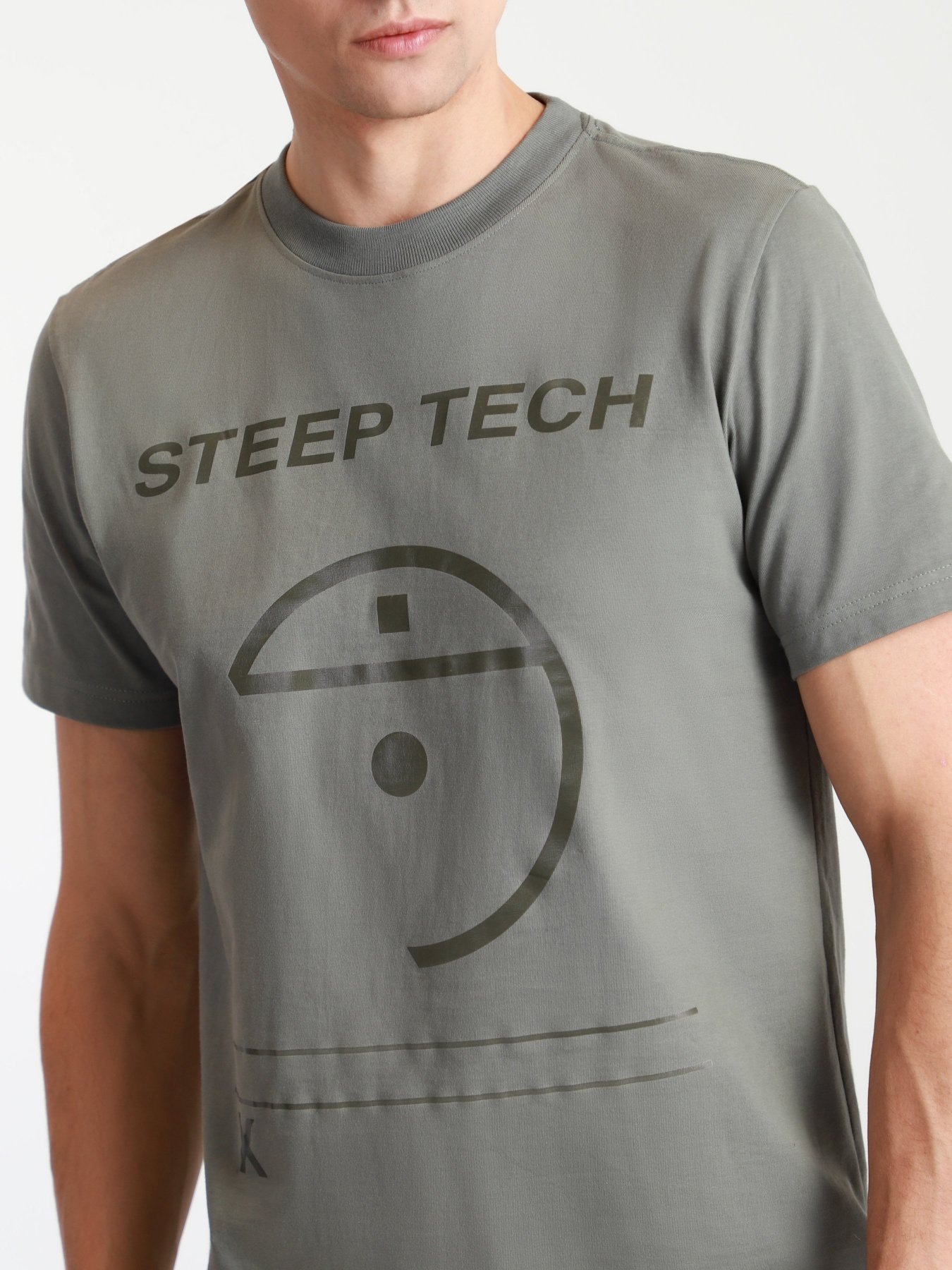 Футболка The North Face Steep Tech модель NF0A52ZFV381 Фото