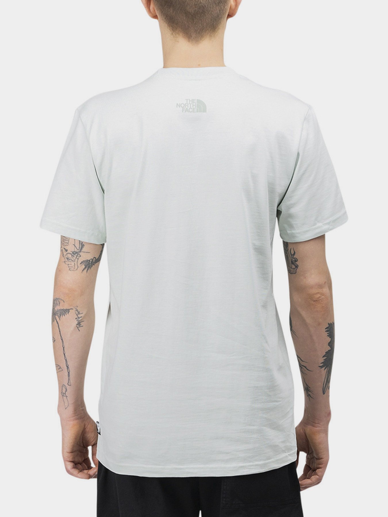 Футболки и поло The North Face Steep Tech Light модель NF0A52ZFV391 Футболки и поло The North Face Steep Tech Light модель NF0A52ZFV391 Фото