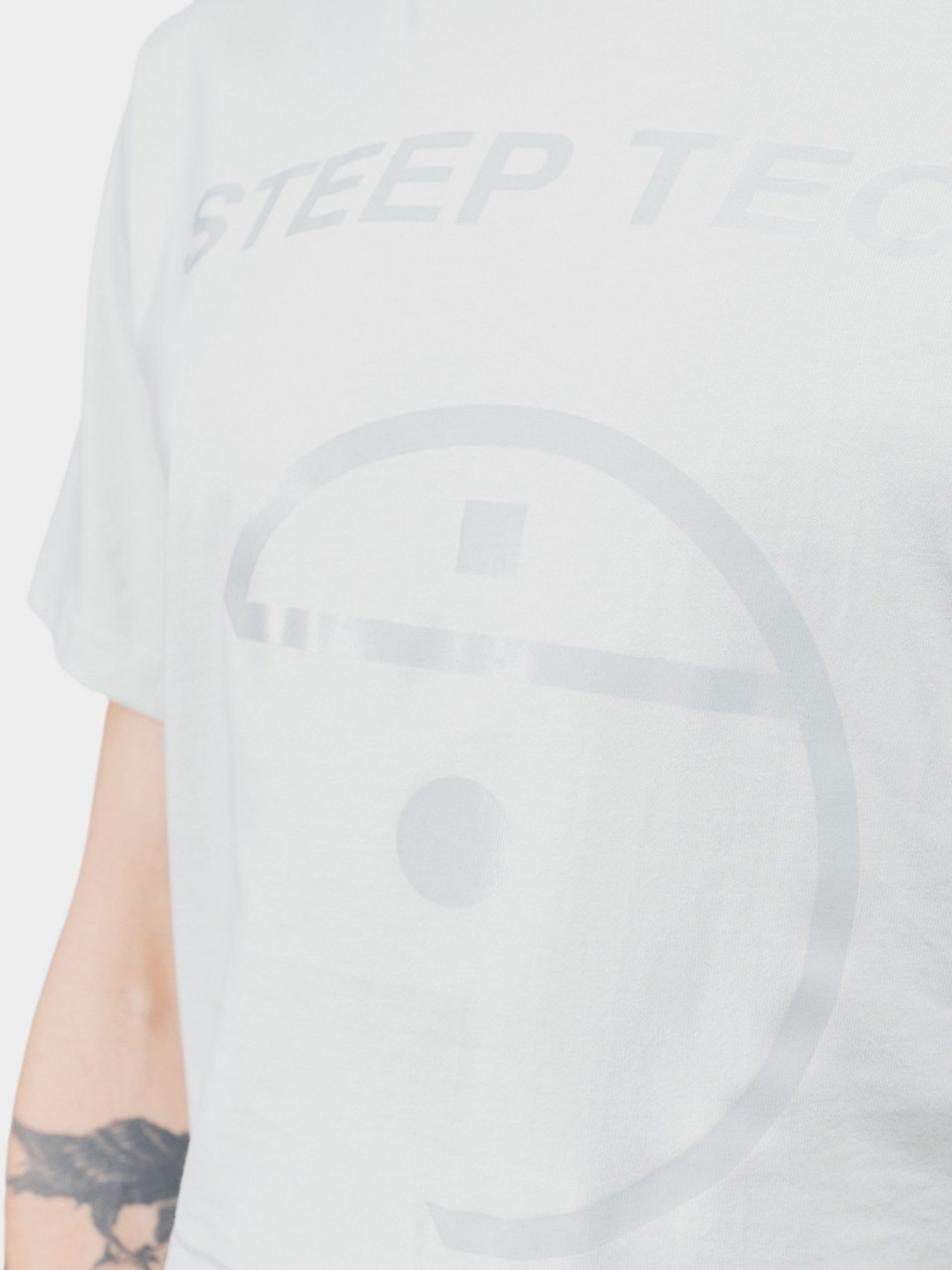 Футболки и поло The North Face Steep Tech Light модель NF0A52ZFV391 Футболки и поло The North Face Steep Tech Light модель NF0A52ZFV391 Фото