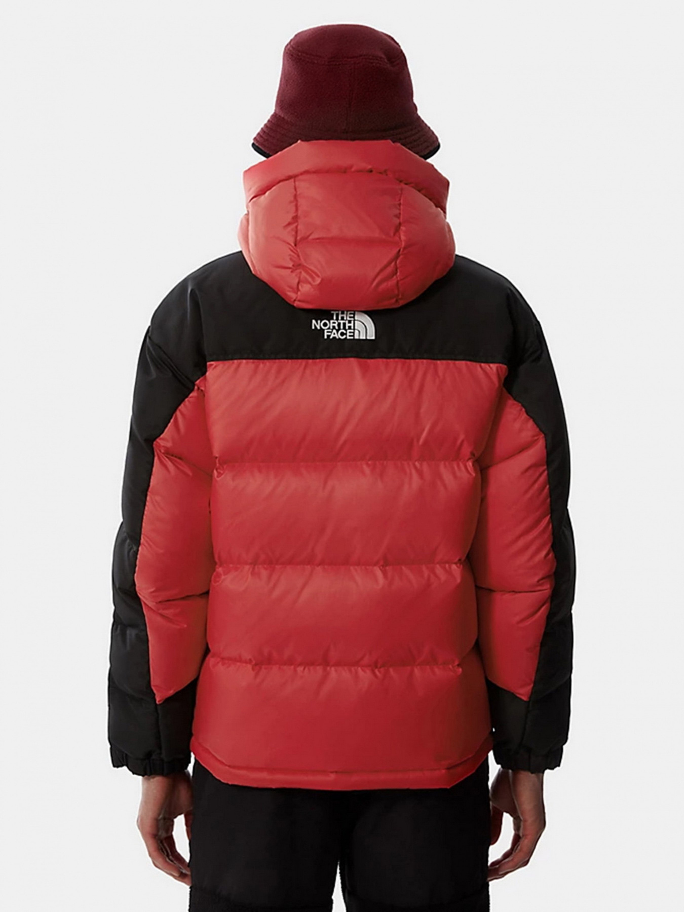 Зимова куртка The North Face Search & Rescue Himalayan модель NF0A55I6KZ31 Фото