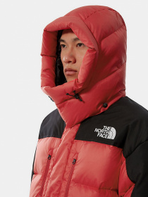 Зимова куртка The North Face Search & Rescue Himalayan модель NF0A55I6KZ31 Фото