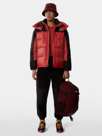 Зимова куртка The North Face Search & Rescue Himalayan модель NF0A55I6KZ31 Фото