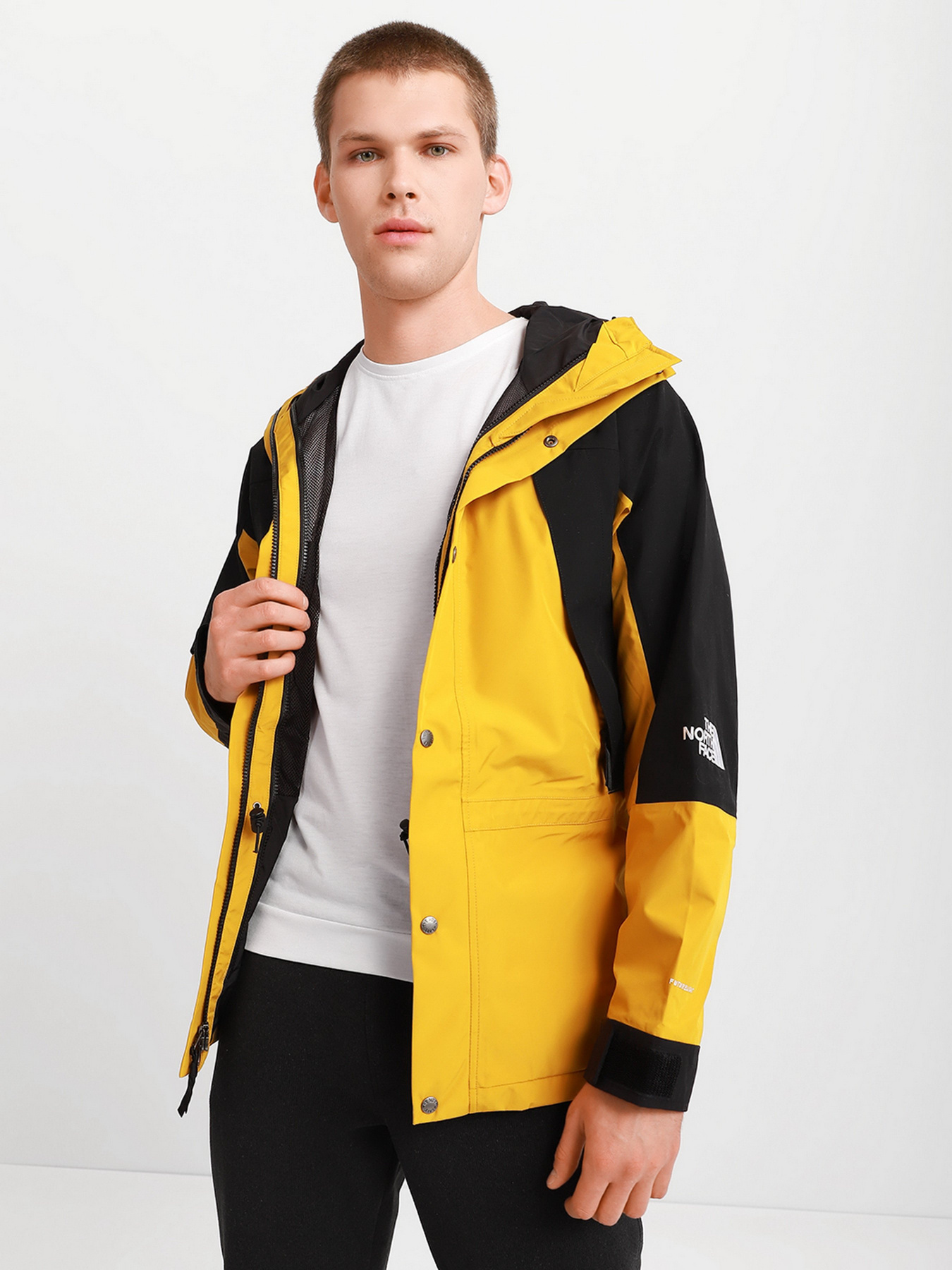 Парка The North Face Mountain Light Futurelight™ 1994 Retro модель NF0A4R52H9D1 Фото