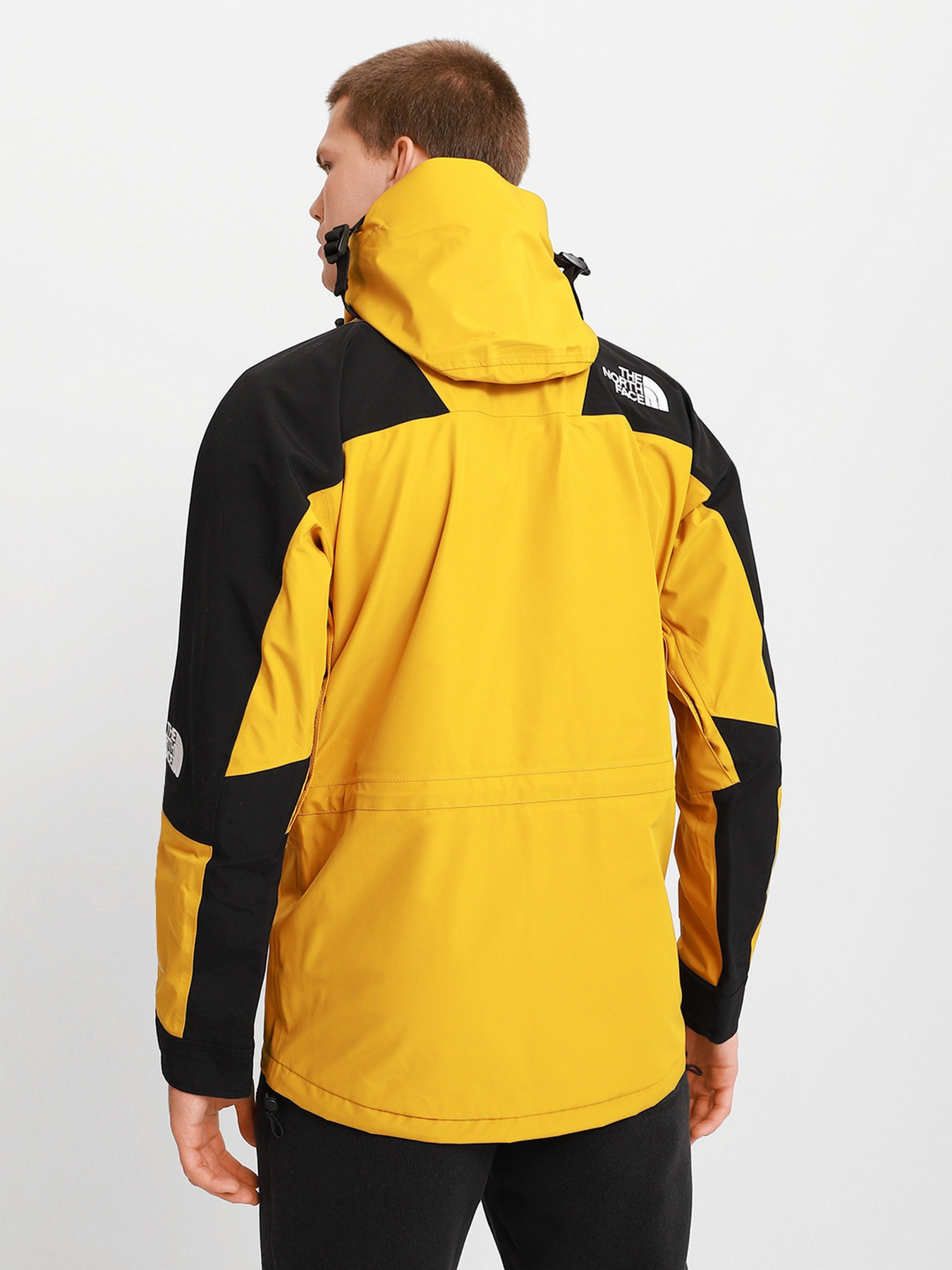 Парка The North Face Mountain Light Futurelight™ 1994 Retro модель NF0A4R52H9D1 Фото