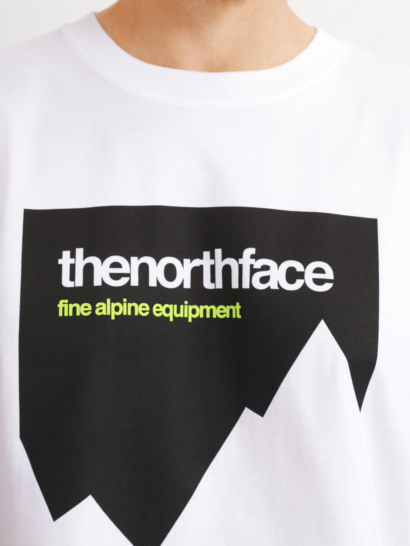 Футболка The North Face Mountain Heavyweight модель NF0A5J56FN41 Фото