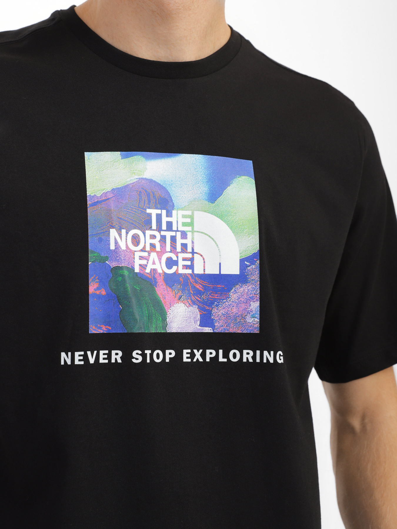 Футболка The North Face X Alfie Kungu Graphic модель NF0A7X3KJK31 Фото