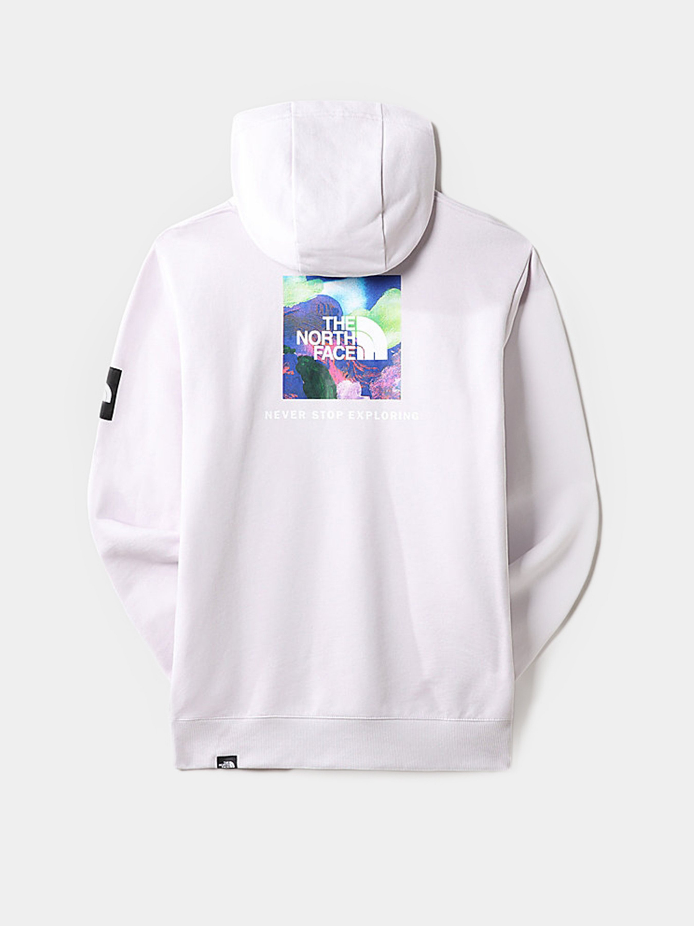 Худі The North Face x Alfie Kungu Patch Graphic модель NF0A7X3J6S11 Фото