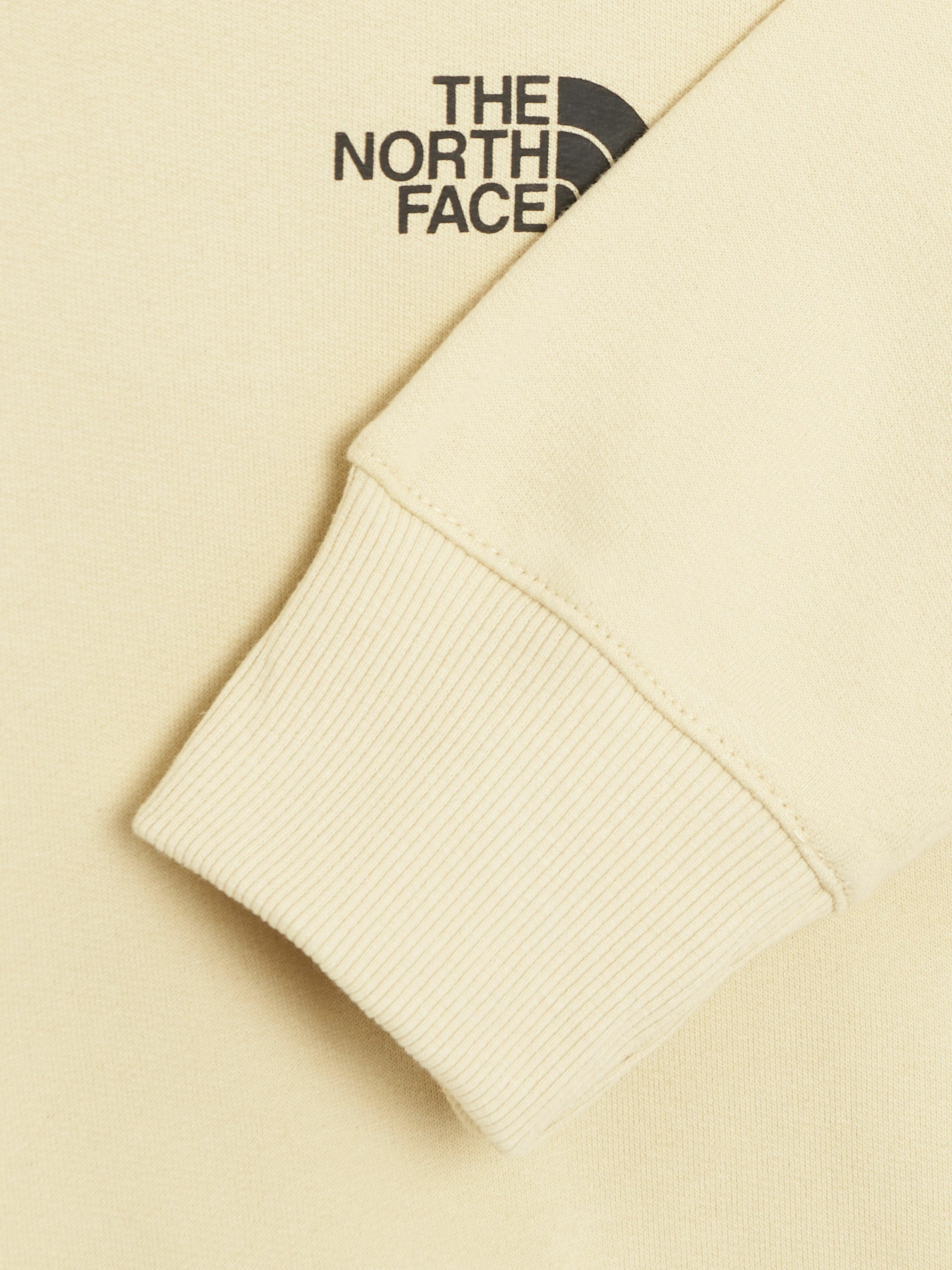 Худи The North Face x Alfie Kungu Patch Graphic модель NF0A7X3J3X41 Фото