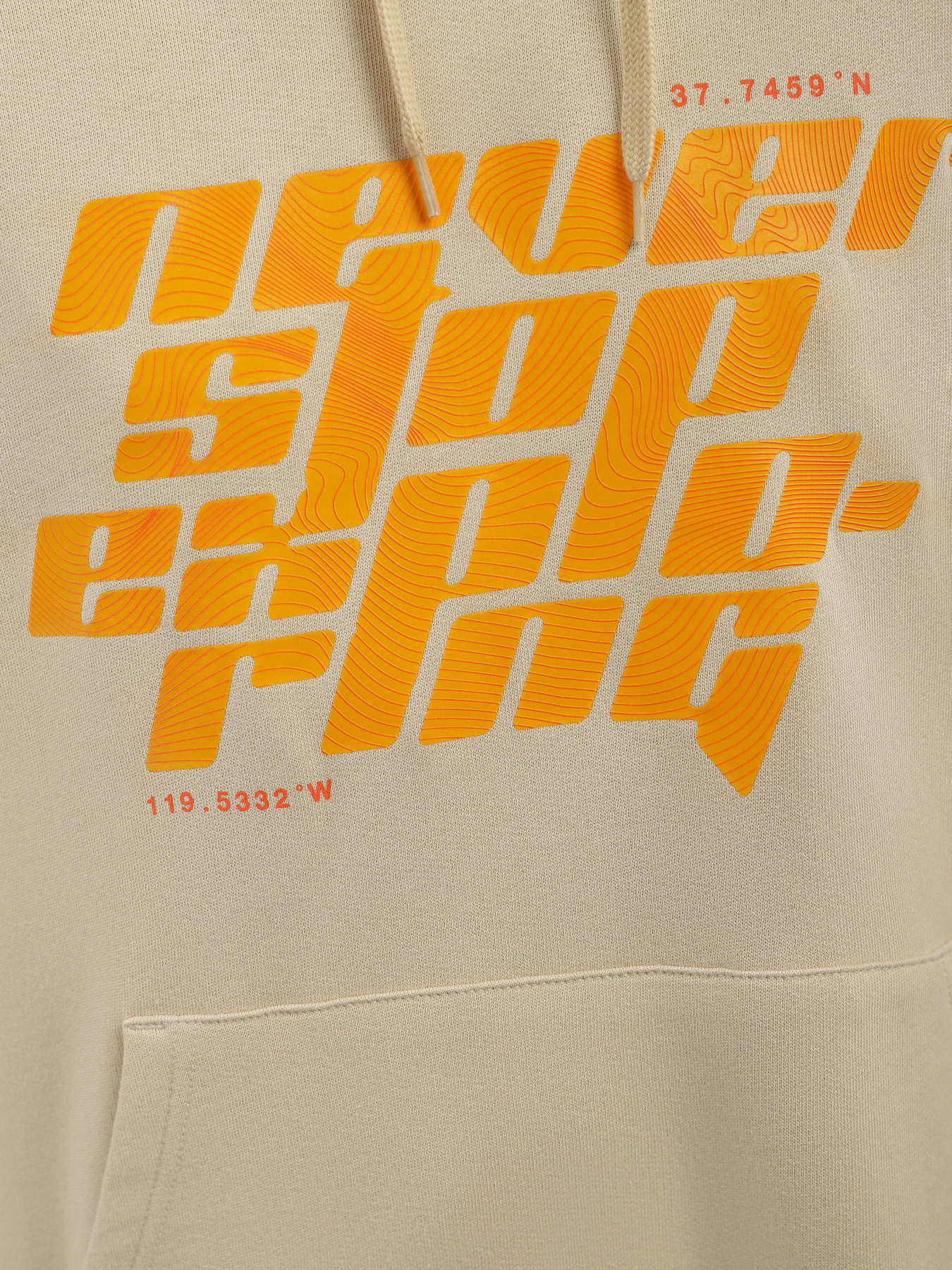 Худи The North Face Graphic модель NF0A852Z3X41 Фото