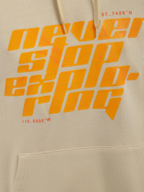 Худи The North Face Graphic модель NF0A852Z3X41 Фото