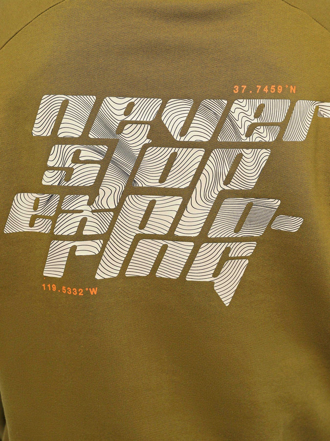 Свитшот The North Face Graphic Crew модель NF0A8531BEB1 Фото