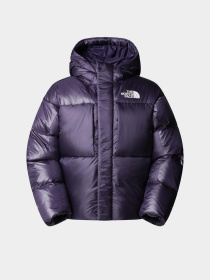 Зимняя куртка The North Face модель NF0A8DQB1JI1 Фото
