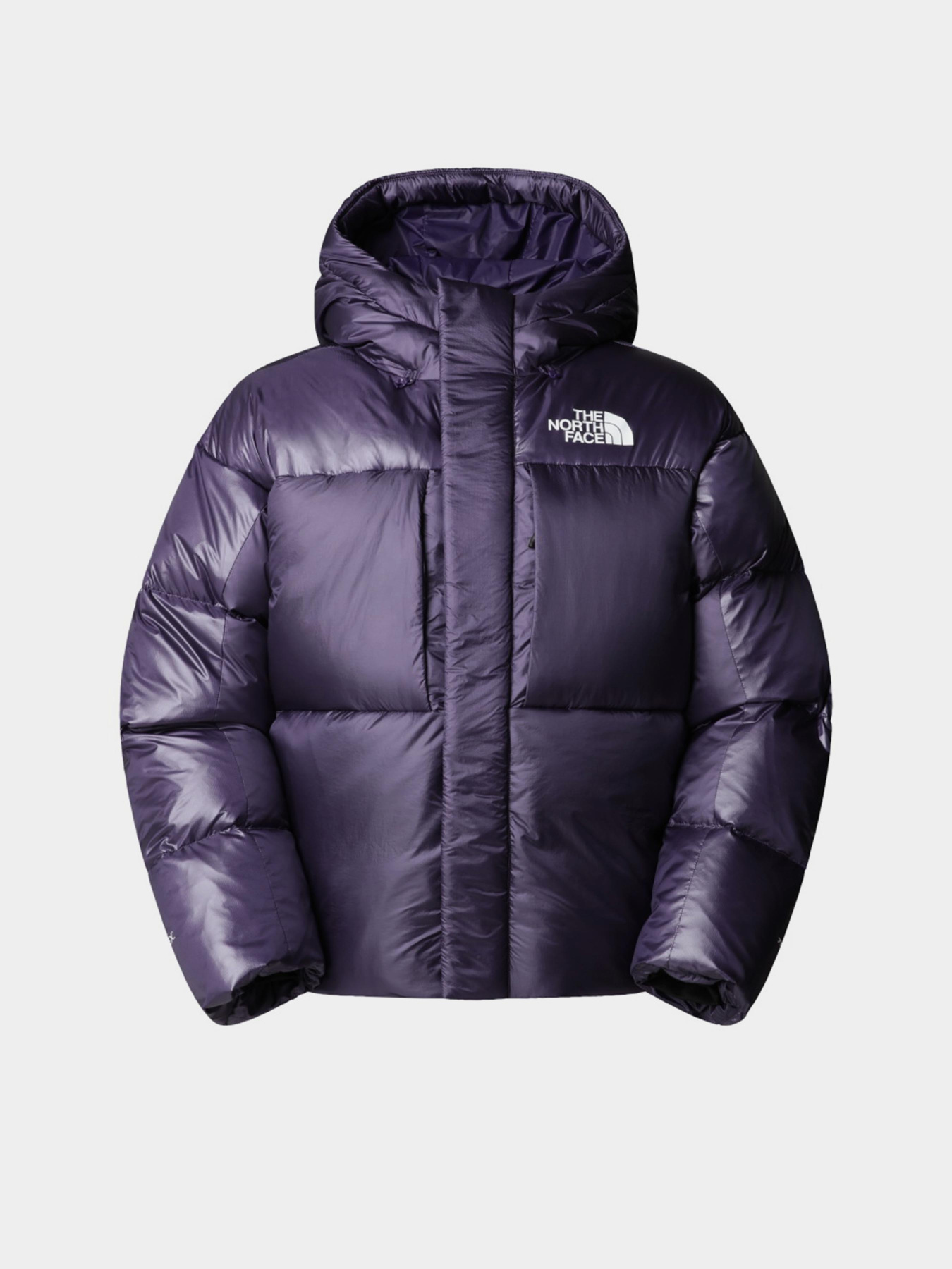 Зимова куртка The North Face модель NF0A8DQB1JI1 Фото