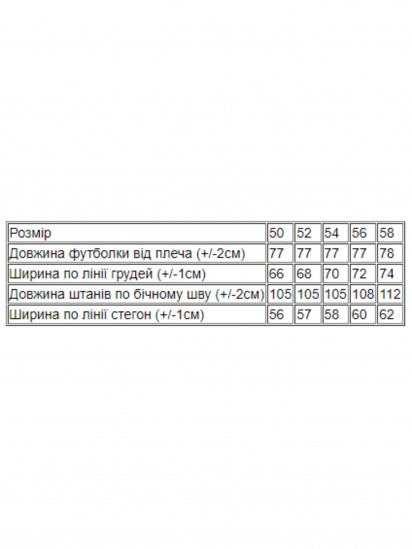 Костюм Носи своє модель 8193-057-temnij-graft — фото 4 - INTERTOP