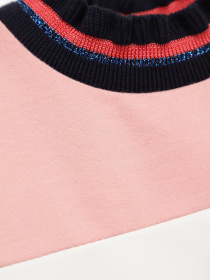 Свитшот S.Oliver модель 53908412750_комб. Фото