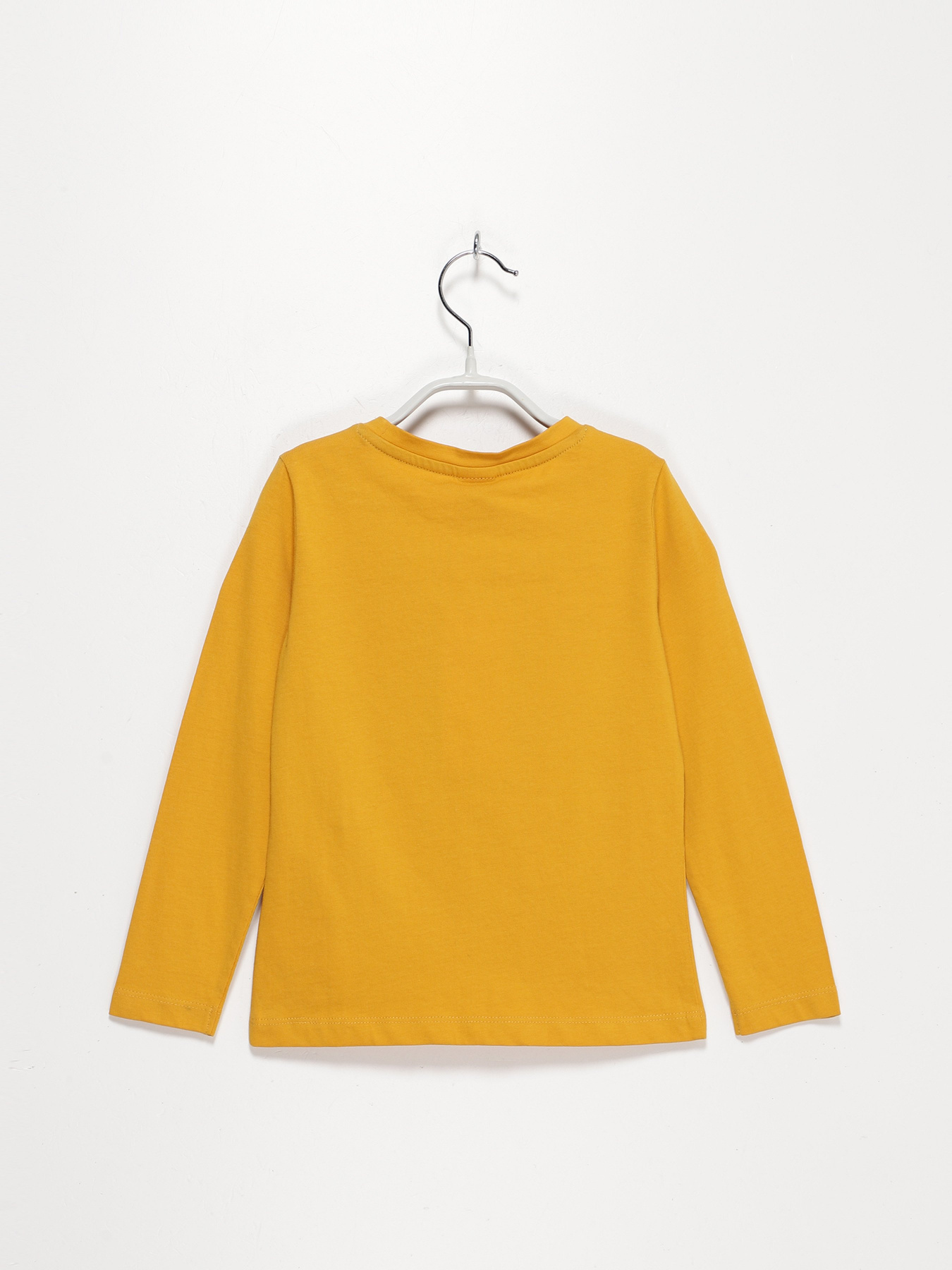 Лонгслив S.Oliver модель 57408316207_гірчичний Лонгслив S.Oliver модель 57408316207_гірчичний Фото