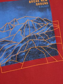 Лонгслів S.Oliver модель 61009312440_бордовий комб. Фото