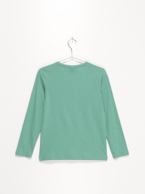 Лонгслив S.Oliver модель 61009312535_зелений комб. Фото