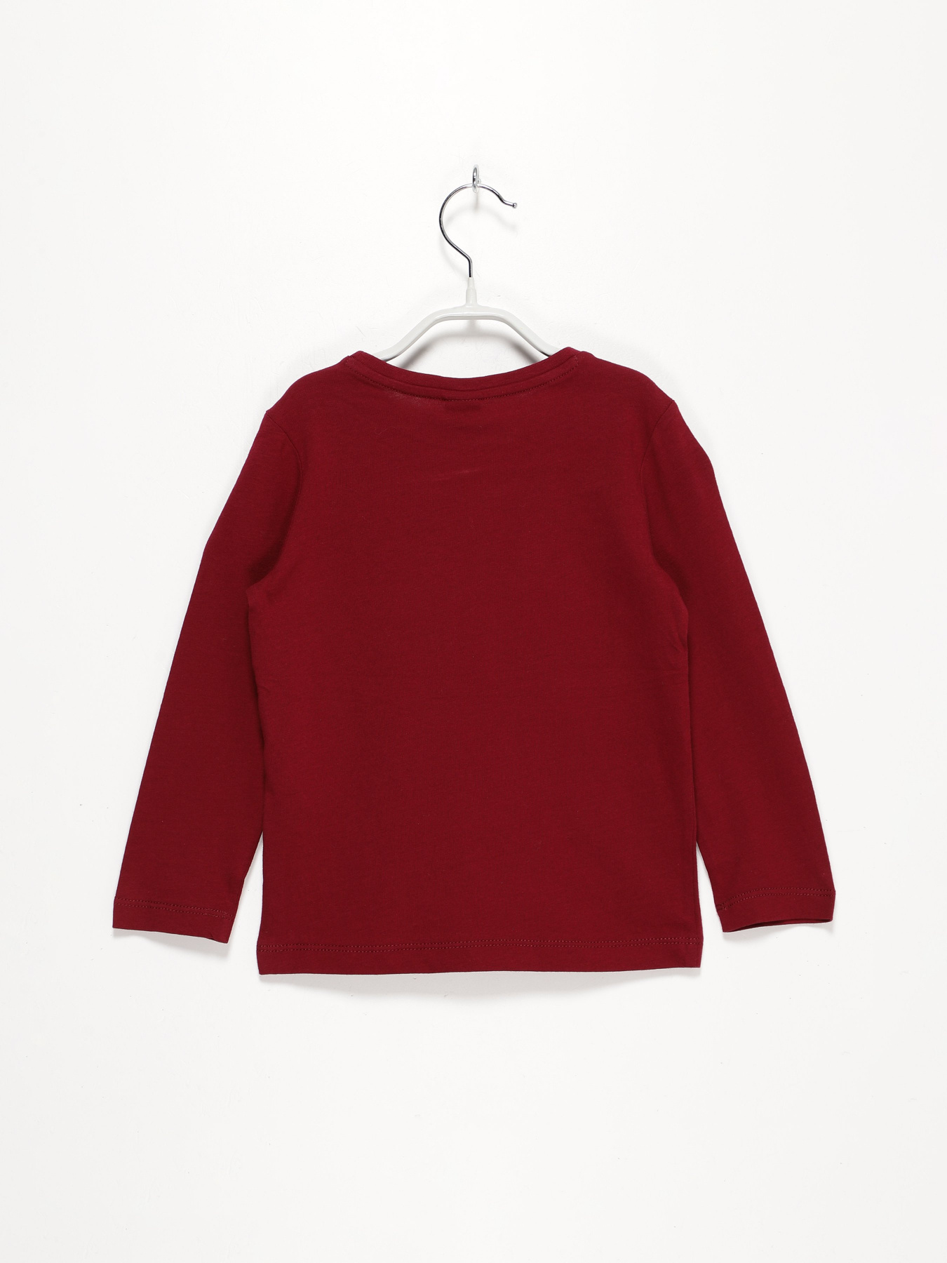 Лонгслив S.Oliver модель 63009312706_бордовий комб. Фото