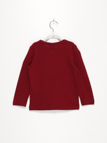 Лонгслів S.Oliver модель 63009312706_бордовий комб. Фото