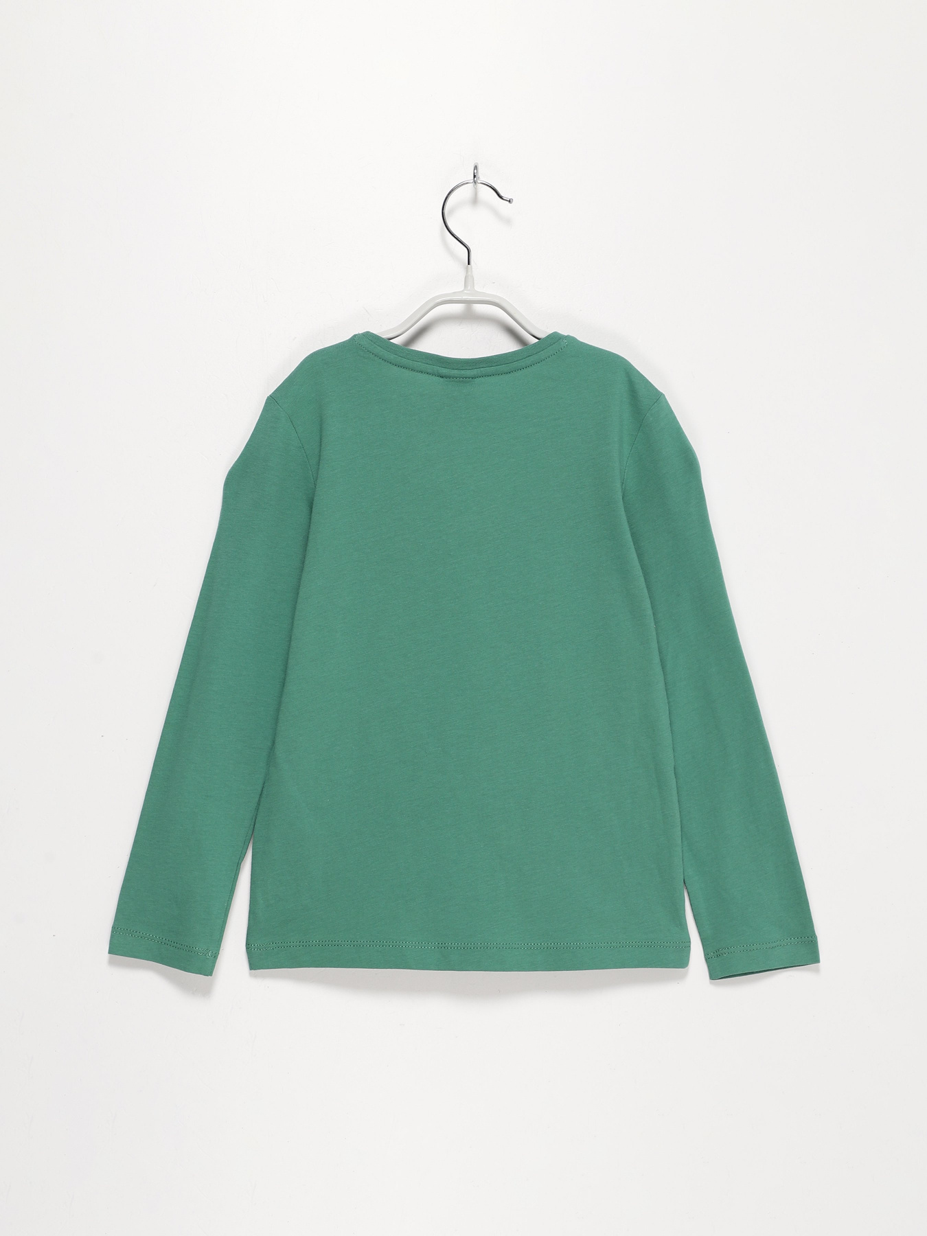 Лонгслив S.Oliver модель 63009312706_зелений комб. Фото