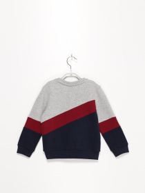 Світшот S.Oliver модель 63009416502_комб. Фото