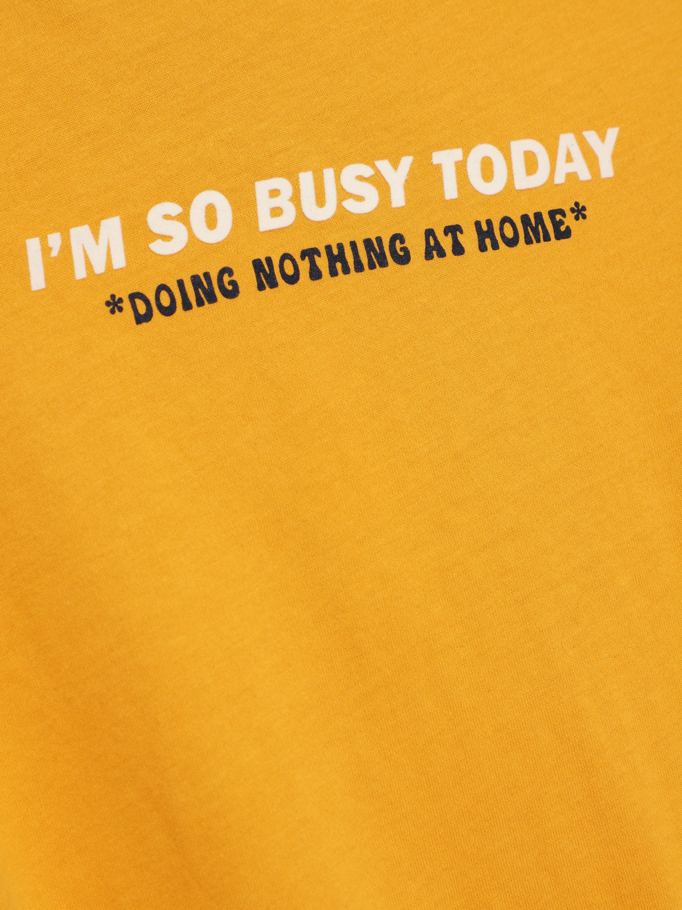 Лонгслів S.Oliver модель 660093124621_жовтий комб Фото