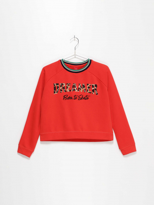 Свитшот S.Oliver модель 66908412712_червоний комб. Фото