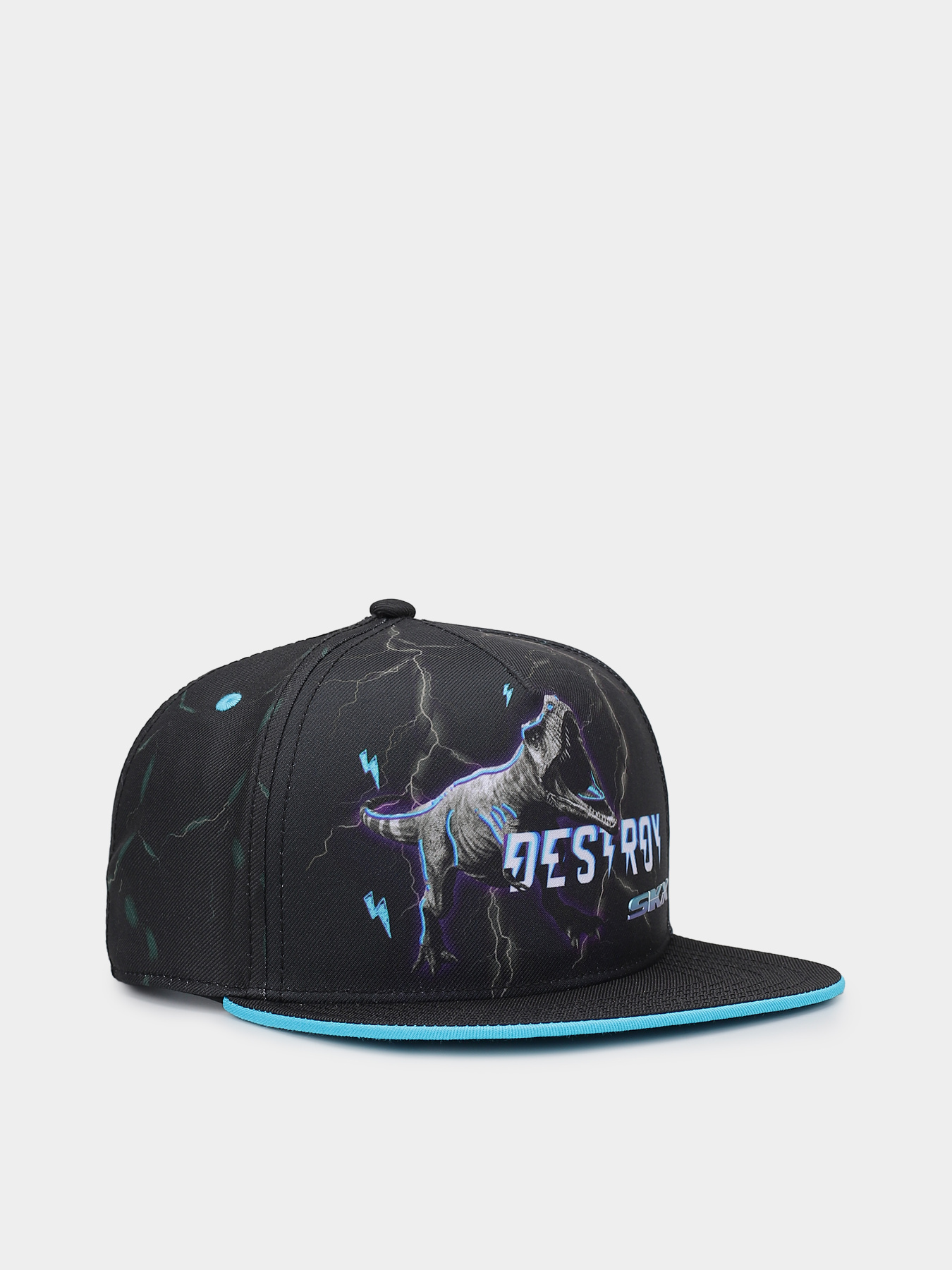 Кепка Skechers Destroy Dino модель ZKCH3324 BLK Фото