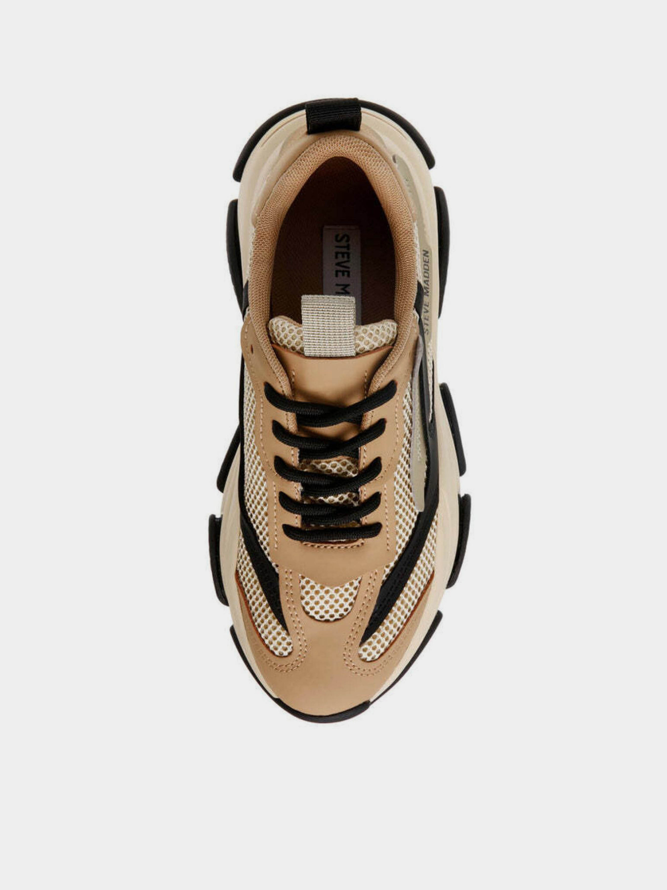 Кросівки Steve Madden Possession-E модель SM19000033 KHAKI/BLACK Фото