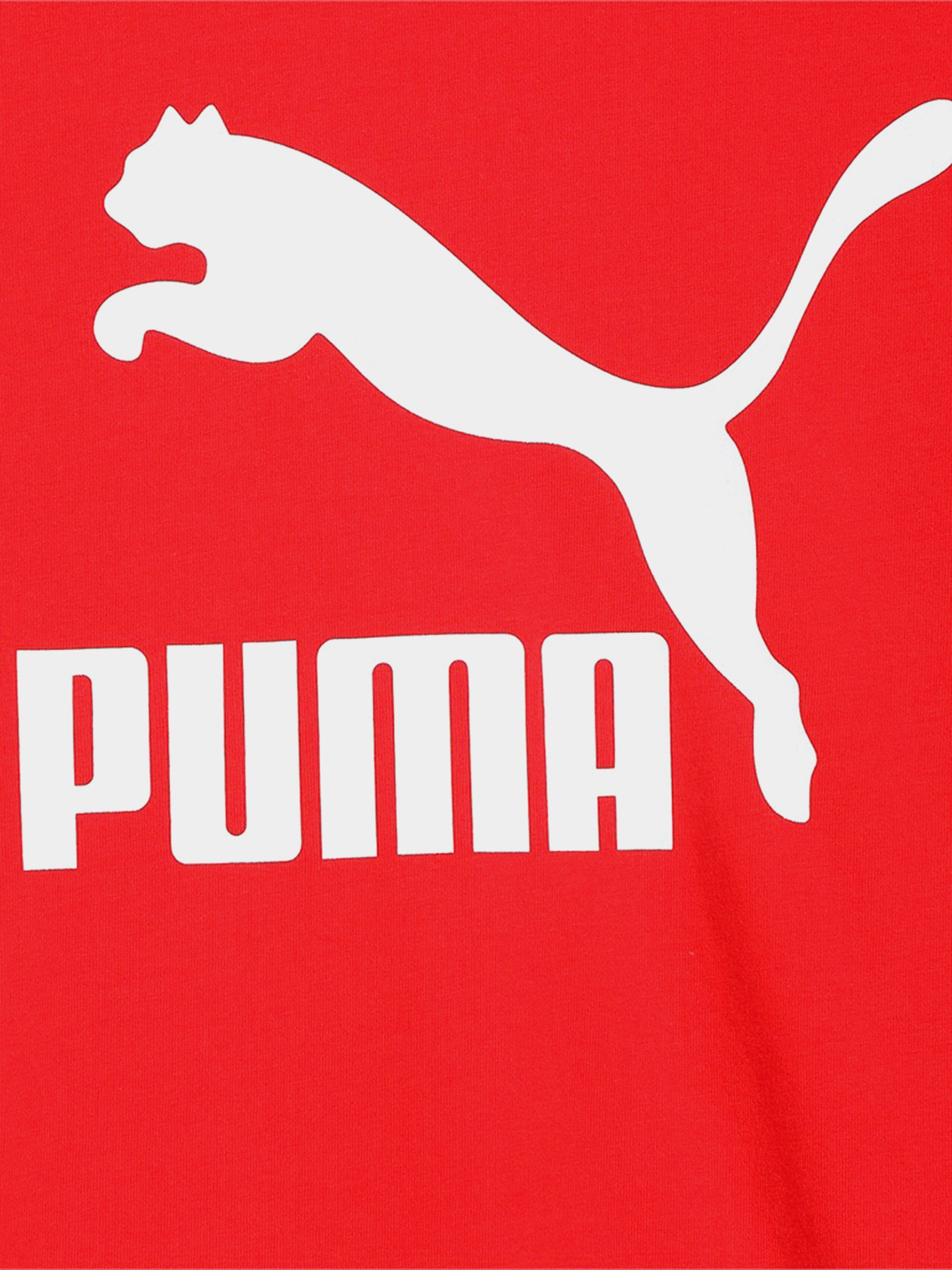 Футболка PUMA Classics Tee B модель 53011511 Фото