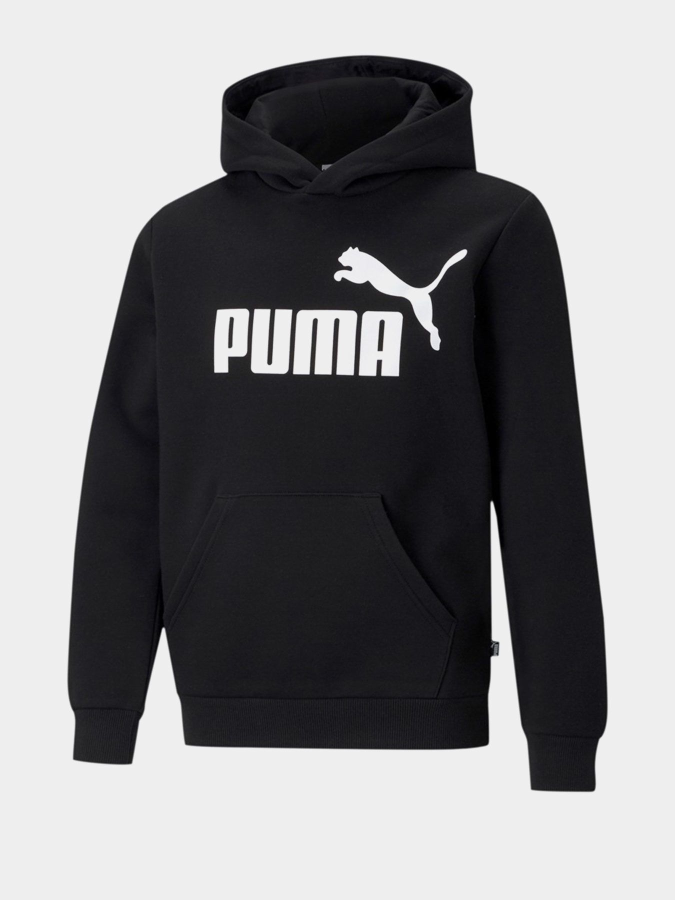 Худи PUMA ESS Big Logo Hoodie FL B модель 58696501 Худи PUMA ESS Big Logo Hoodie FL B модель 58696501 Фото