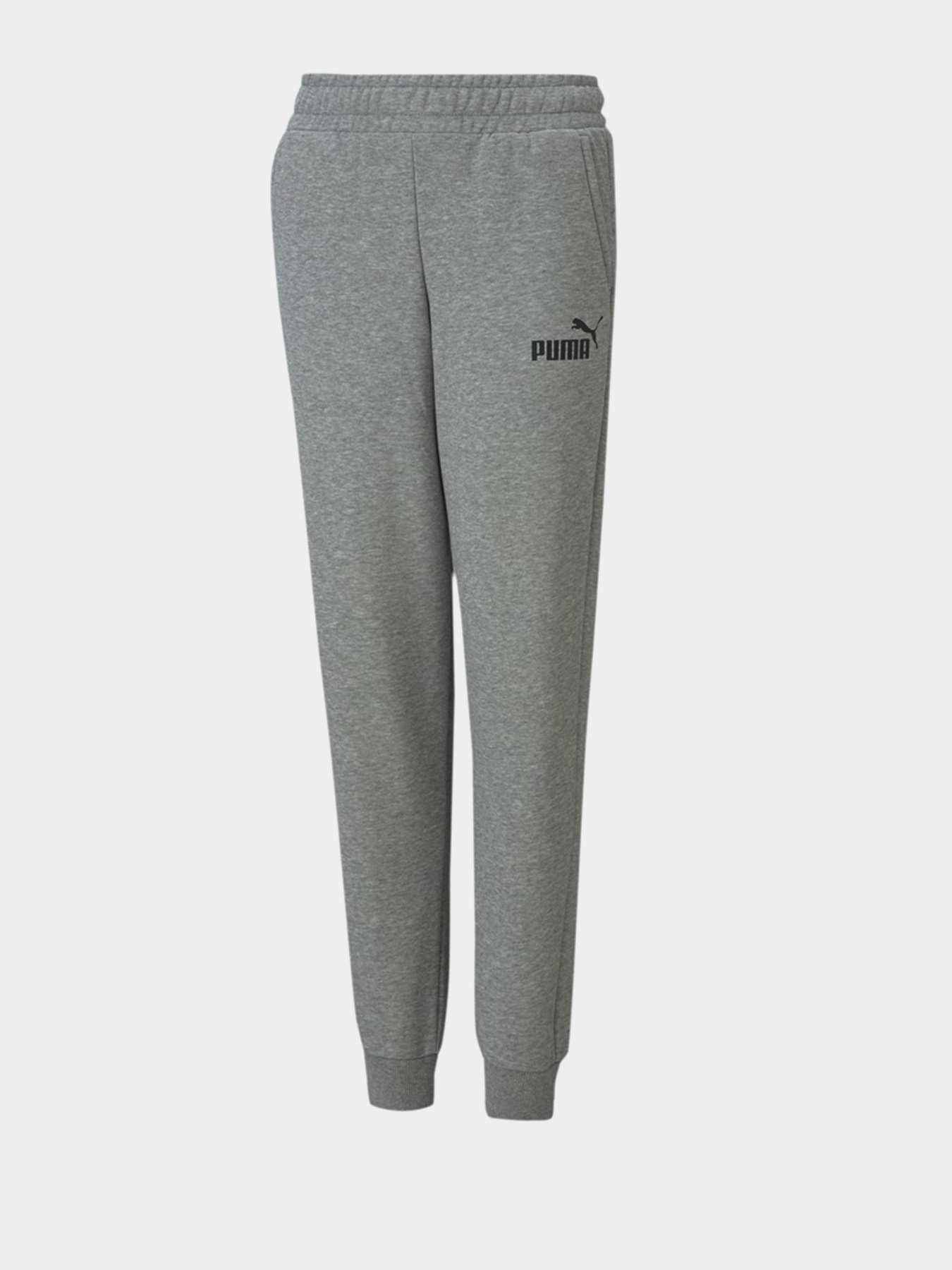 Штаны спортивные PUMA Essentials Logo Youth модель 58697403 Фото