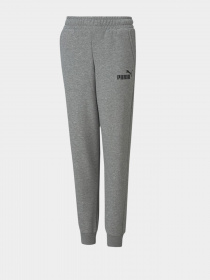 Штаны спортивные PUMA ESSENTIALS LOGO YOUTH модель 58697403 Фото