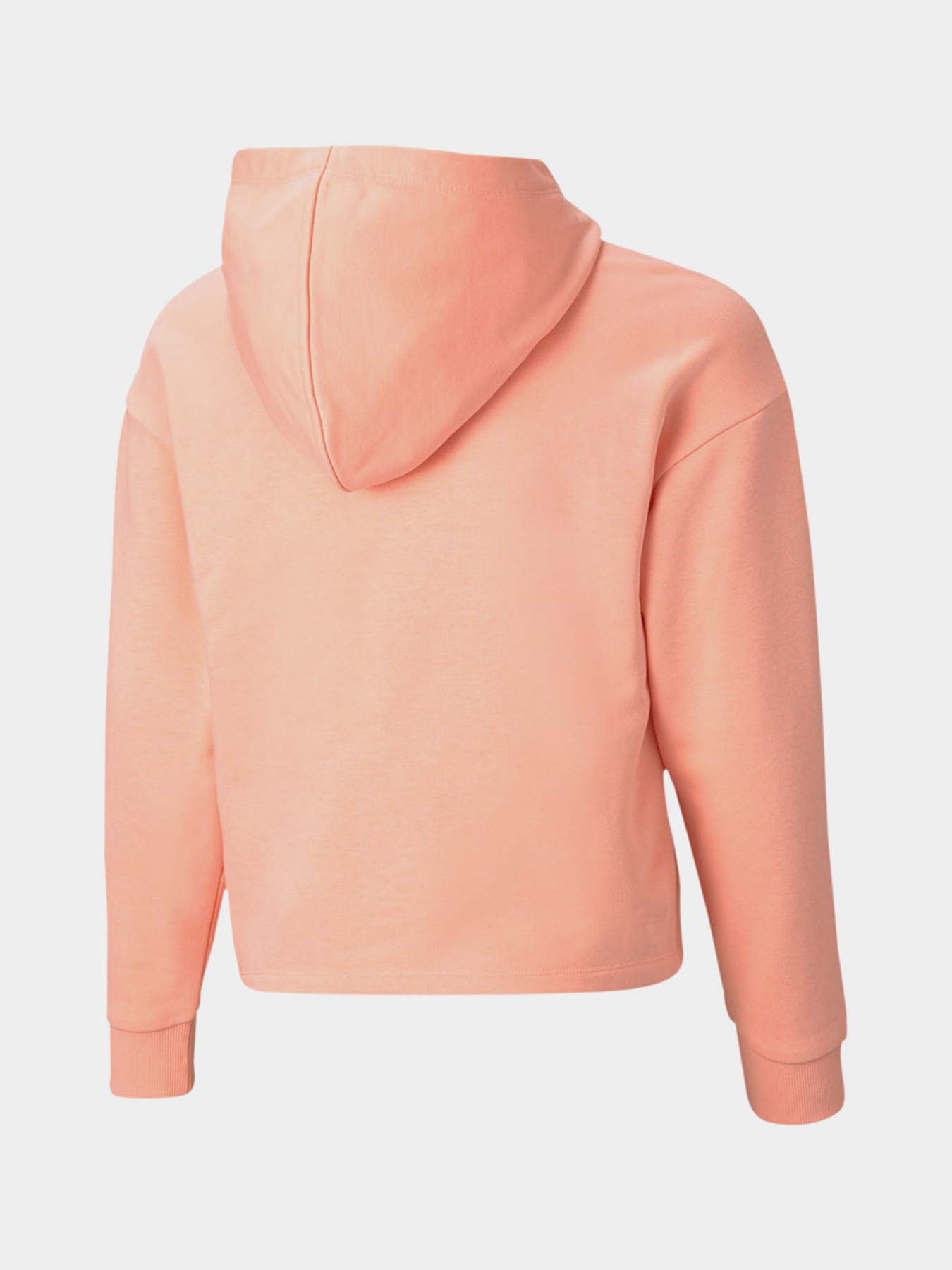 Худі PUMA ESS+ модель 58704626 Фото