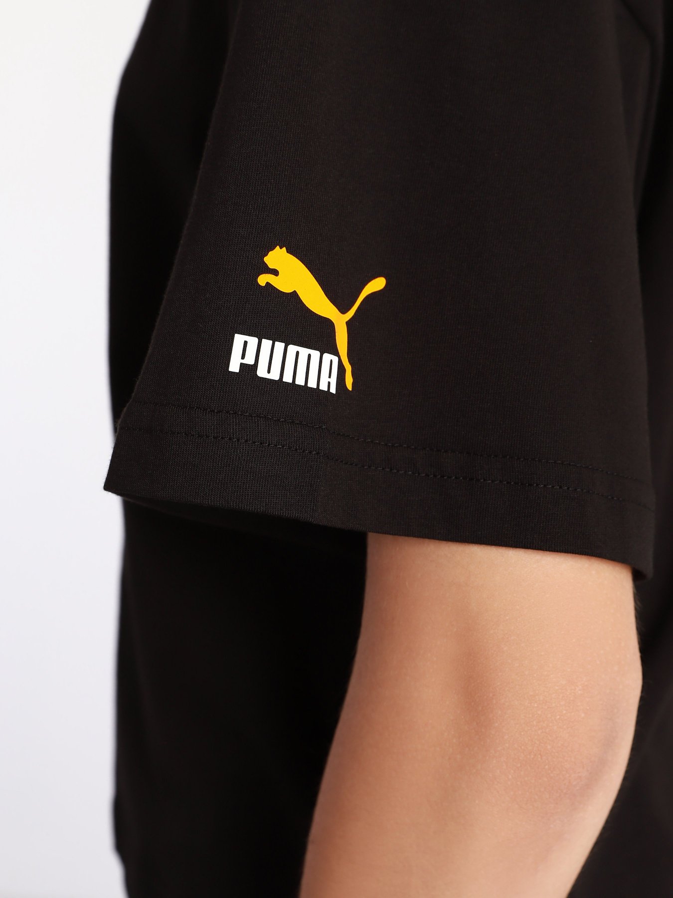 Футболки и поло PUMA ELEVATE Graphic Tee Wns модель 53108051 Фото